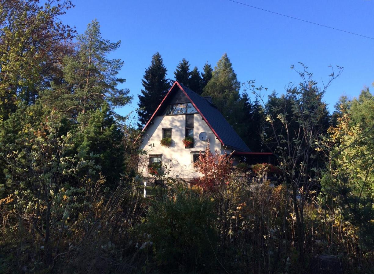 Haus Am Gruendel Apartman Altenberg  Kültér fotó