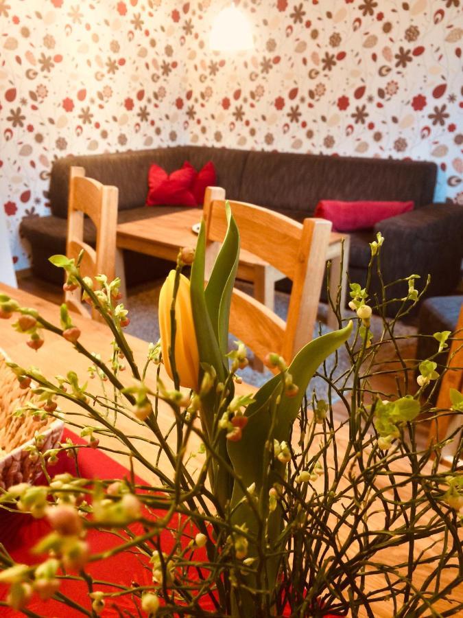 Haus Am Gruendel Apartman Altenberg  Kültér fotó