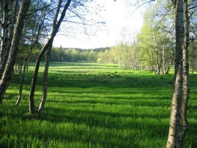 Haus Am Gruendel Apartman Altenberg  Kültér fotó